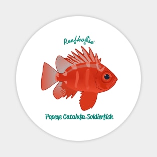 Popeye Catalufa Soldierfish Magnet